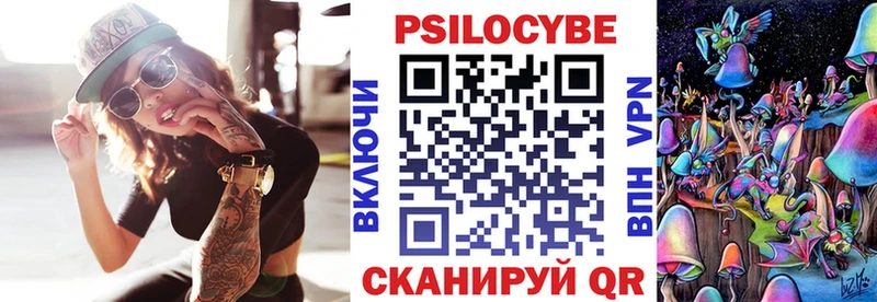 наркота  Константиновск  Галлюциногенные грибы Psilocybine cubensis 
